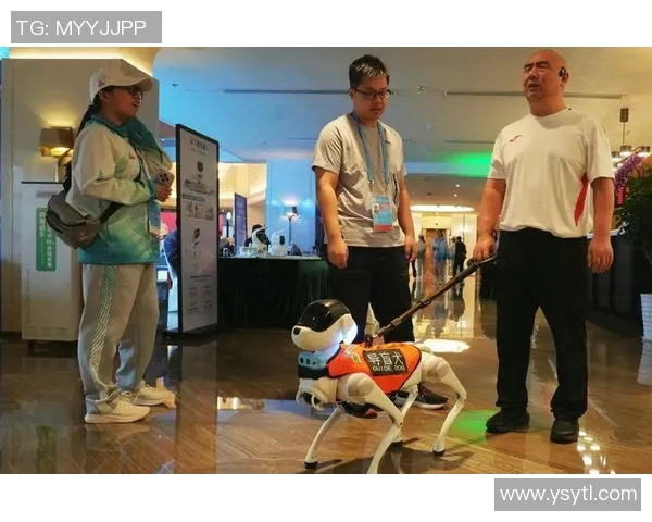 特奥精神传承与发展探讨促进残障人士全面参与社会生活